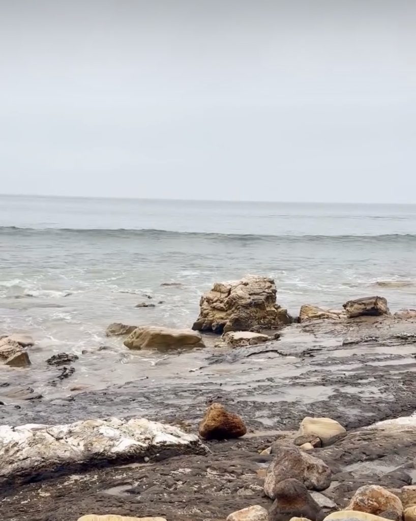 Overcast tide pools at Point Dume, Malibu California — source photography for Found Palettes Vol. 01