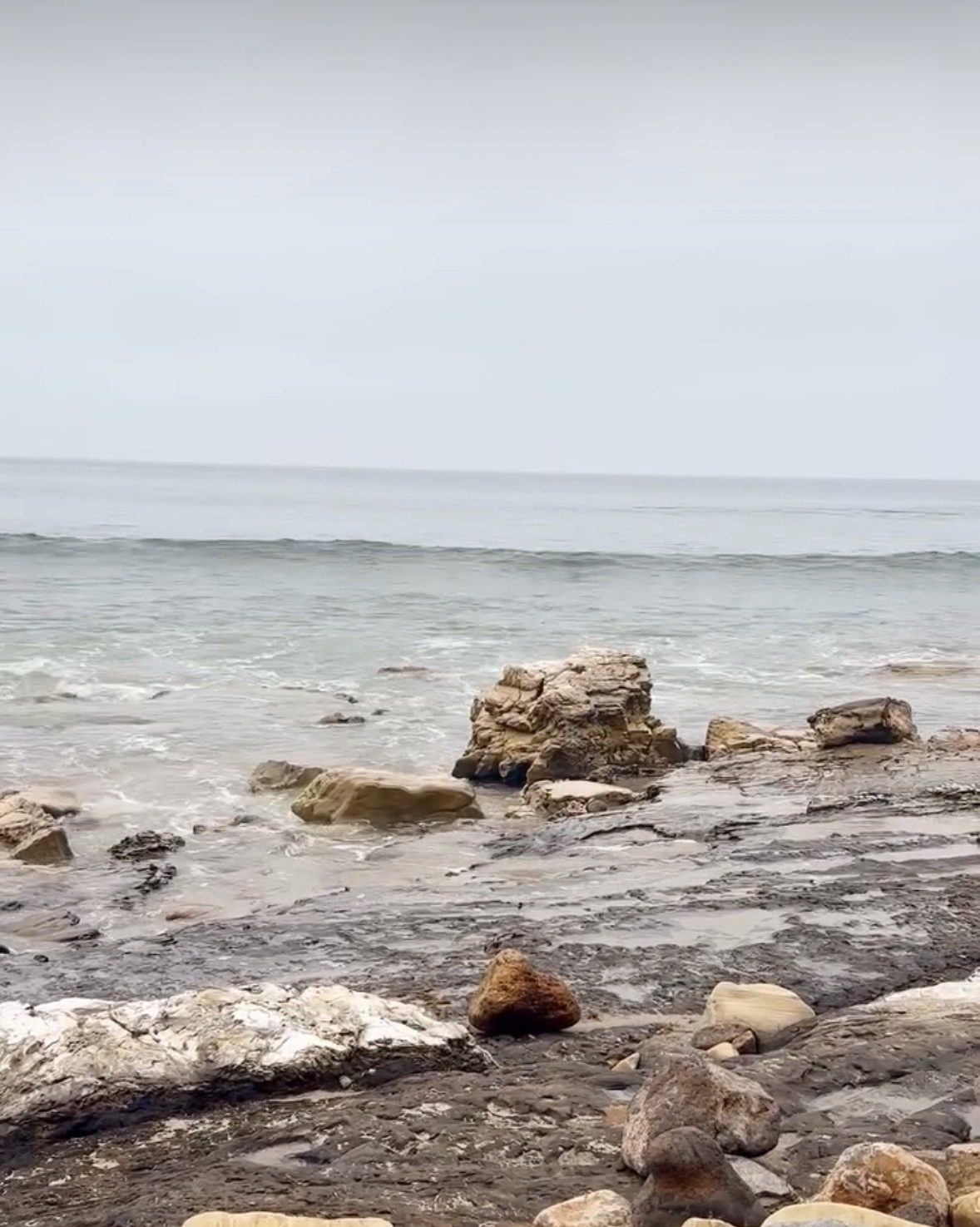 Overcast tide pools at Point Dume, Malibu California — source photography for Found Palettes Vol. 01